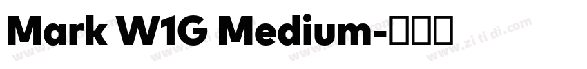 Mark W1G Medium字体转换